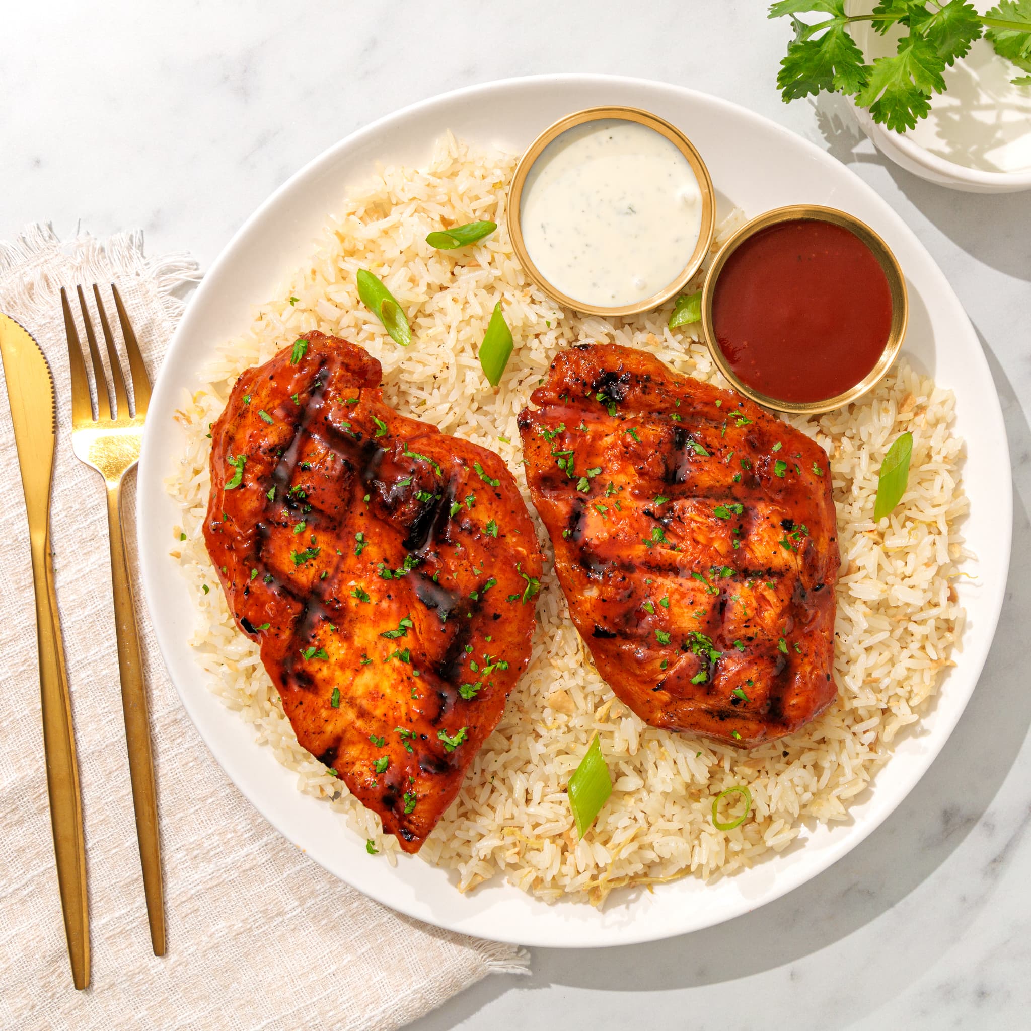 BBQ grilled chicken breasts over rice with barbecue sauce
