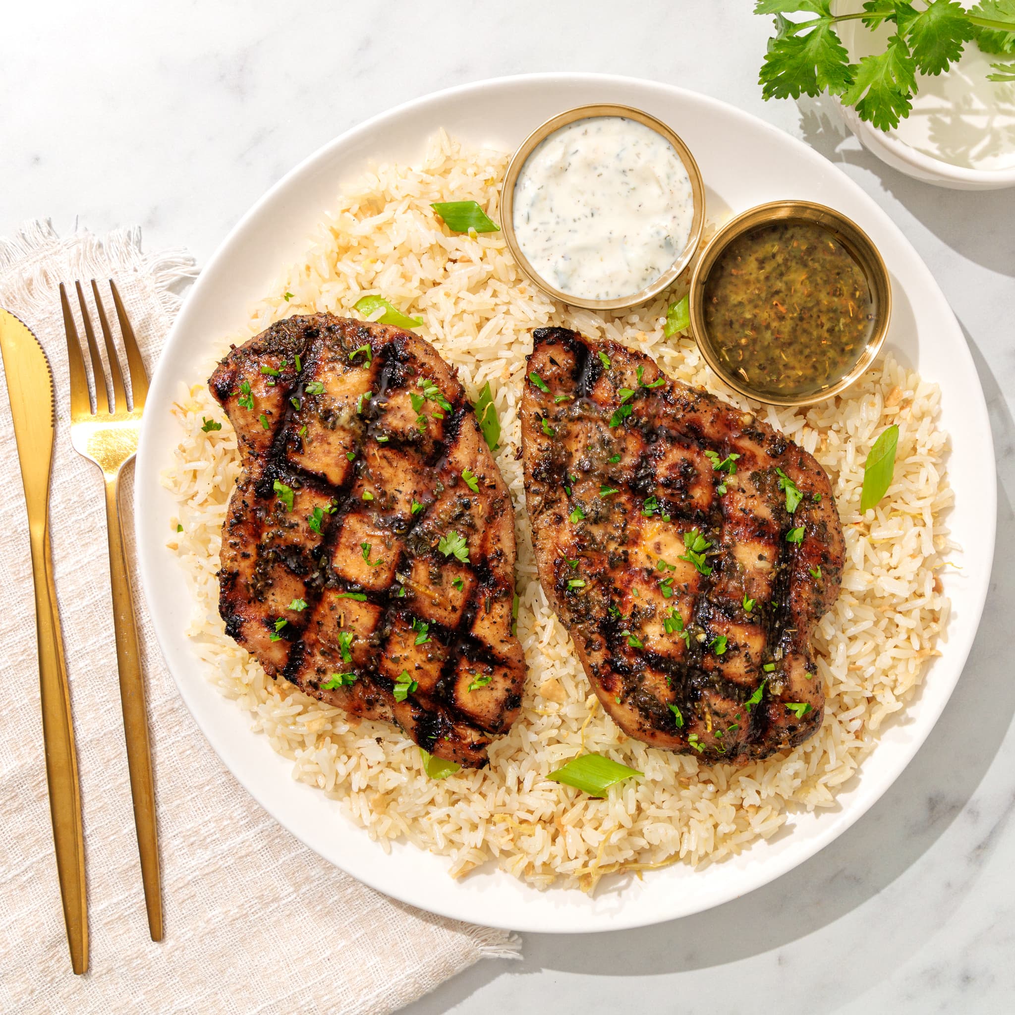 Greek Souvlaki grilled chicken breasts over rice with herb sauces