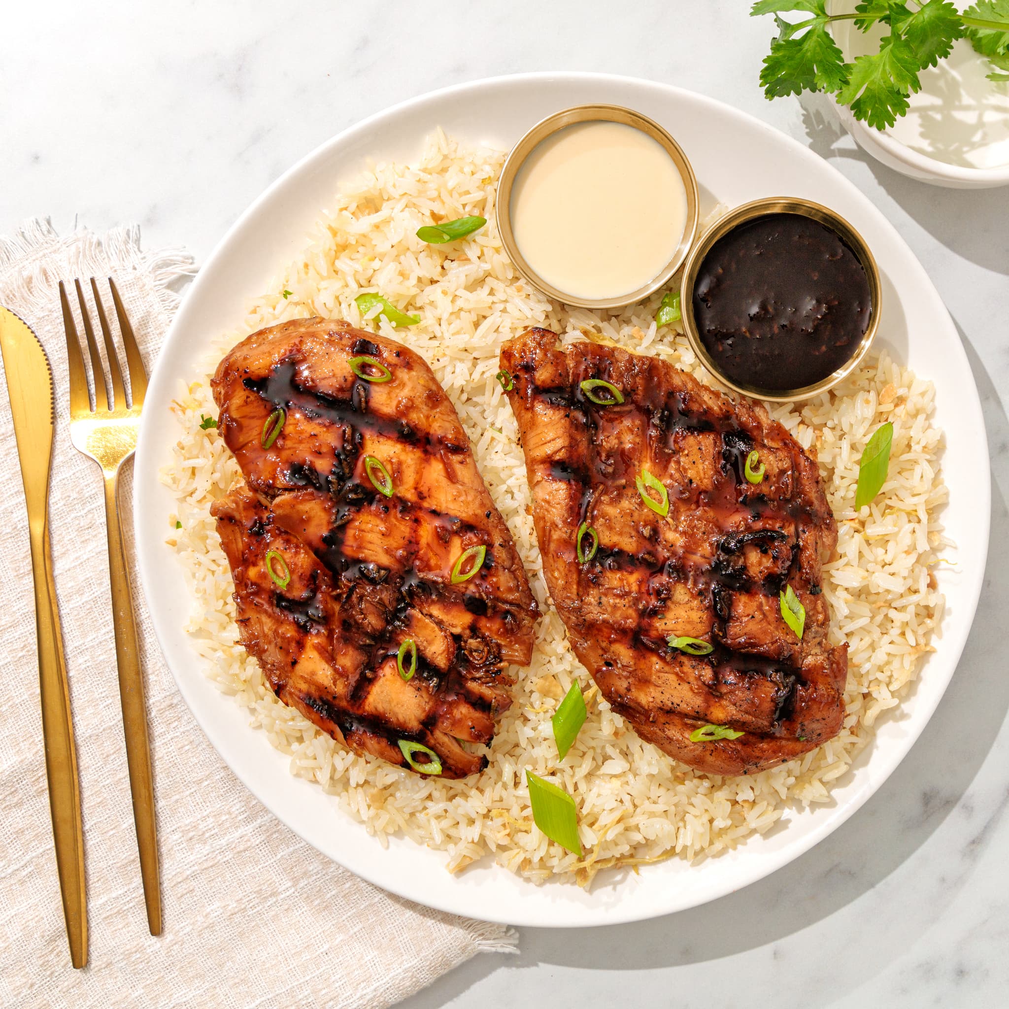 Teriyaki grilled chicken breasts over rice